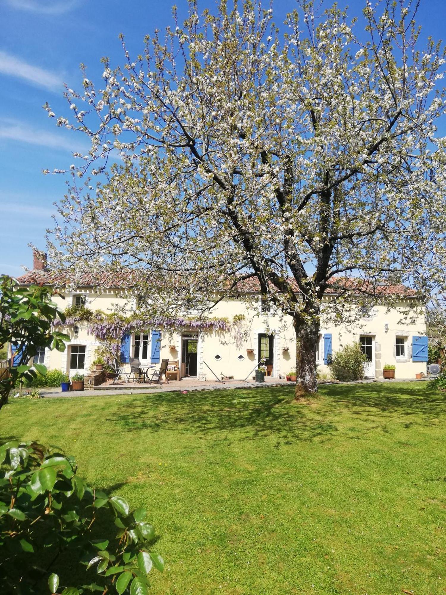 Papillons B&B - Beauty, Comfort And Peace 25 Mins From Puy Du Fou Montournais Luaran gambar